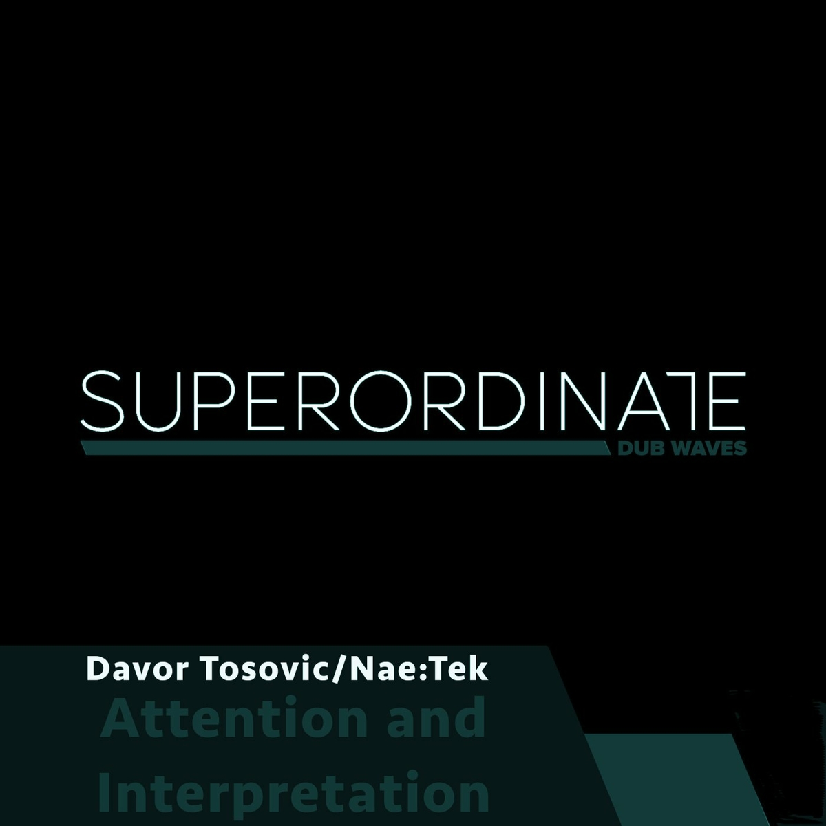 Davor Tosovic & Nae:Tek - Attention and Interpretation [SUPDUB471]